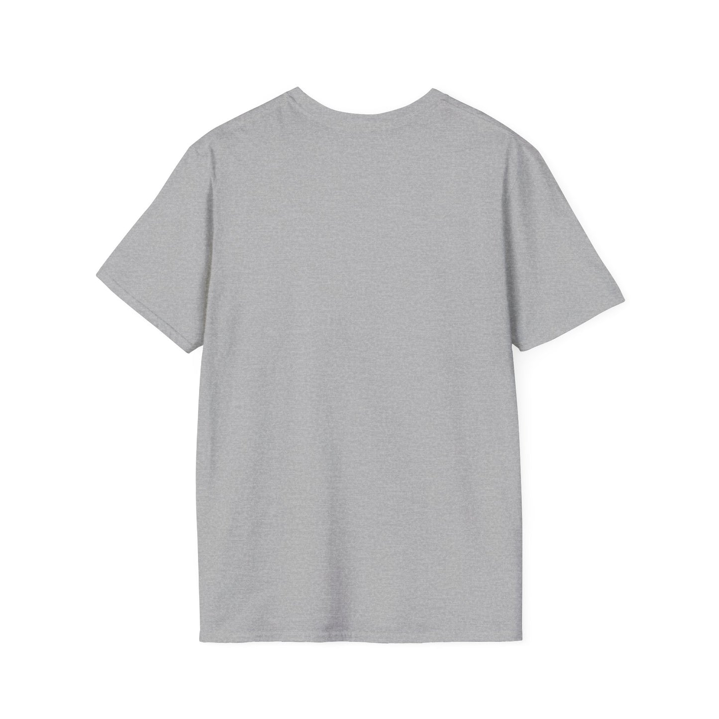 Conspiracy at DC T-Shirt — Soft Style Graphic Tee